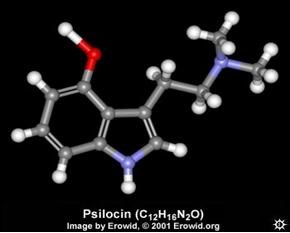 psilocin