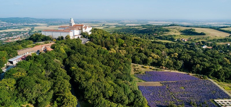 Ellopták Pannonhalmáról Radnóti Miklós szobrát