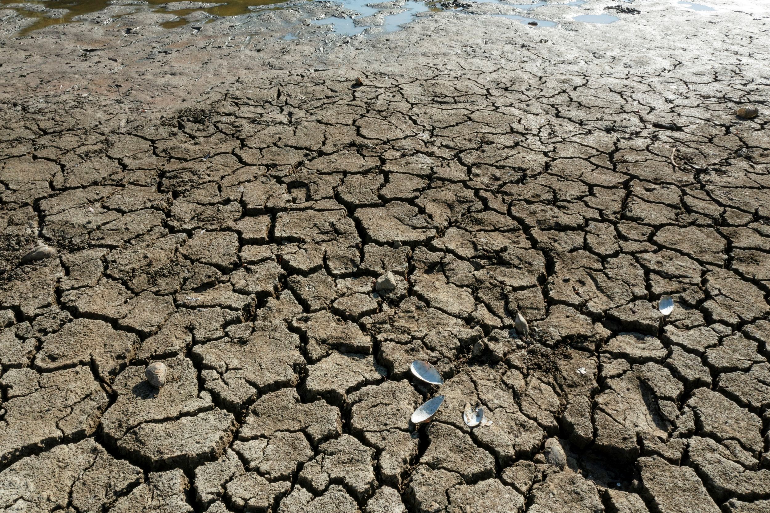 Megkongatták a vészharangot: eddig elszámolták a klímaváltozást, 4 Celsius-fokkal is megugorhat a hőmérséklet