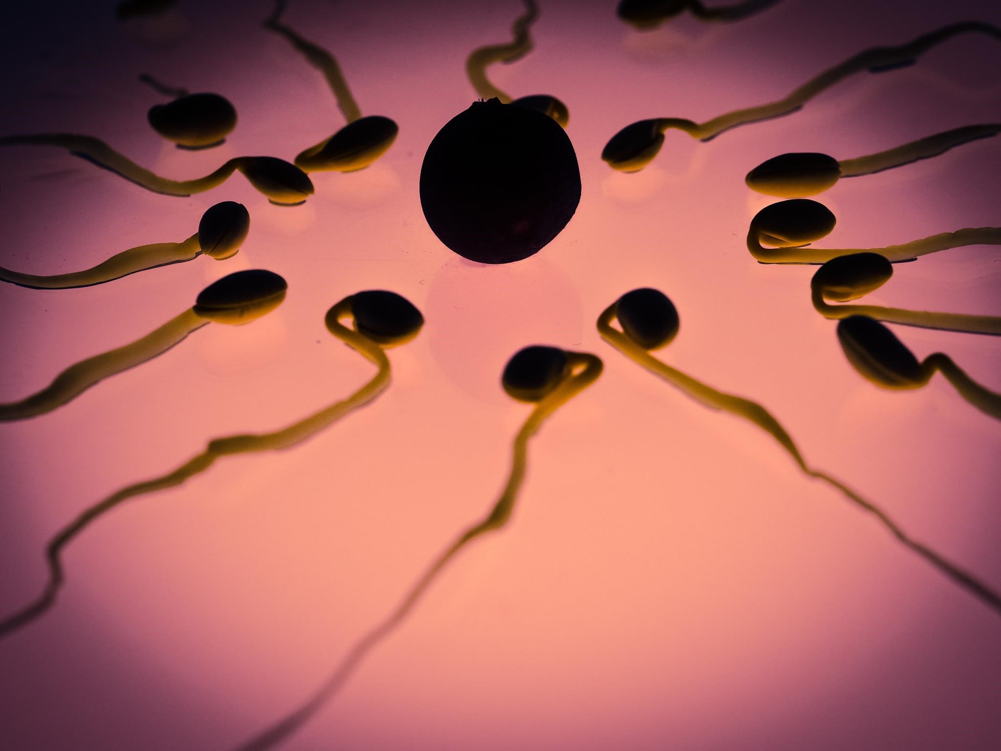 Jön a férfi fogamzásgátló, ami más, mint az eddigiek: hormonmentes és nem csökkenti a vágyat