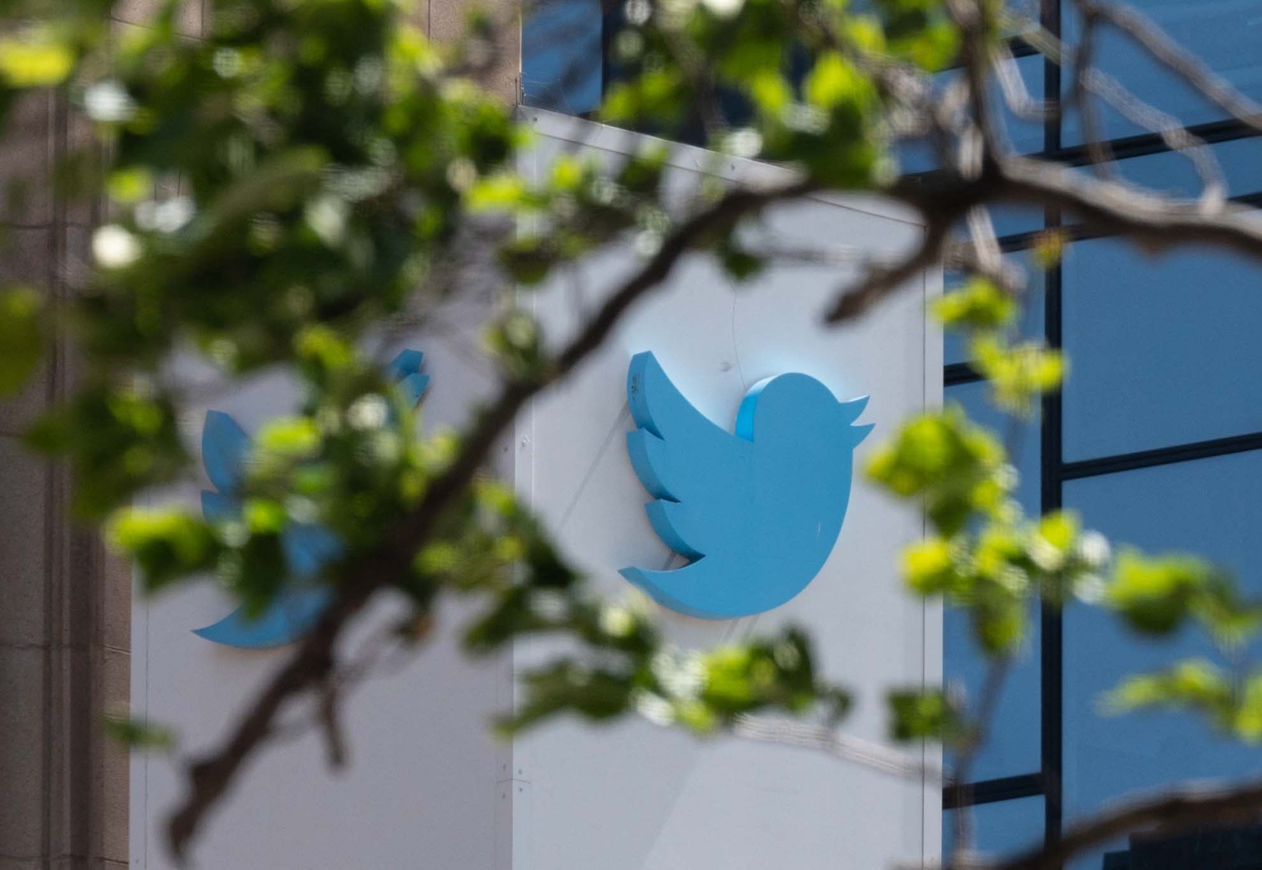 Lemondott a Twitter tartalommoderálásért felelős vezetője