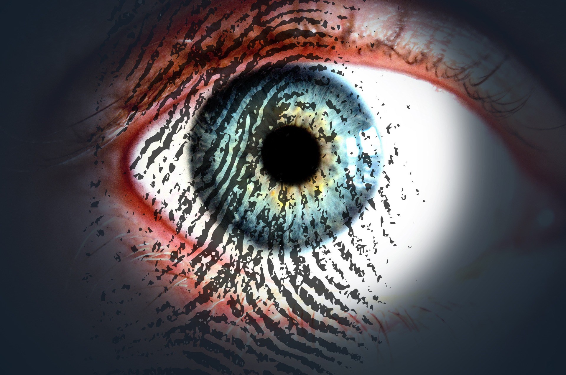 Az Interpol biometrikus azonosításra alkalmas új programot hozott létre