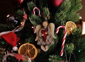My Week: An Angel Andrea Vergoni Appear For Orsolya Karafiáth At Christmas
