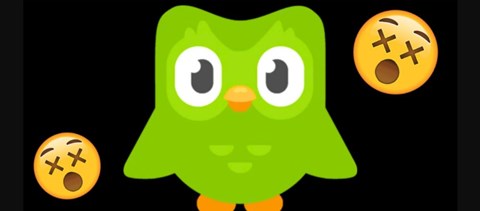 Mégsem halt meg Duo, a Duolingo alkalmazás kabalabaglya