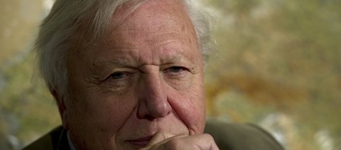 90 éve Sir David Attenborough, a természetfilmek legendás alakja