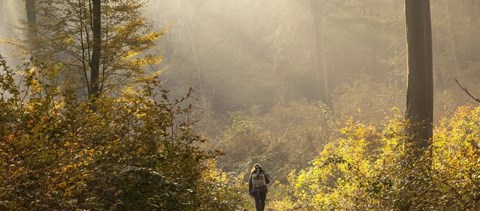 4 tipp, hogyan vészeld át az őszi tanév depresszióját