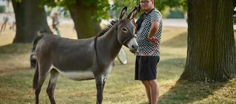 450 kilométert gyalogolt, hogy vágóhídra ítélt szamarakat menthessen