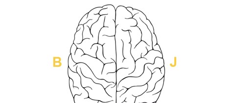 Félperces, zseniális teszt: melyik agyféltekéd a domináns?