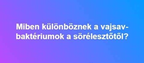 Miben különböznek a vajsav-baktériumok a sörélesztőtől?