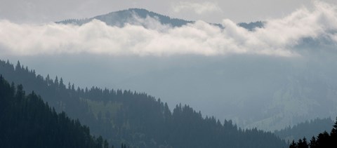 Határon túli képzésekre is lehet jelentkezni állami ösztöndíjasként