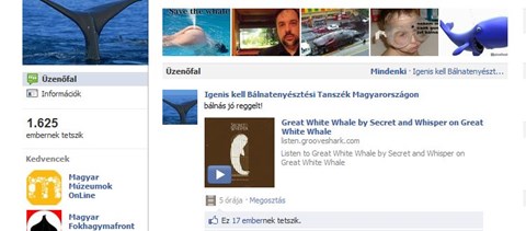 Sláger lett Pokorni bálnás-balneológiás elszólása a Facebookon