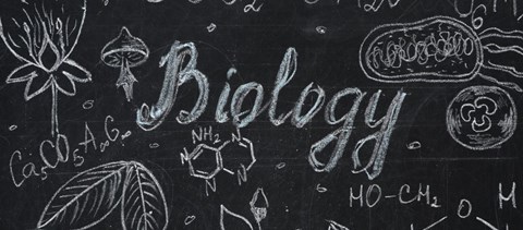 Milyen segédeszközt lehet használni biológiaérettségin?