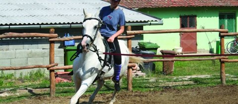 Mennyibe kerülnek a hazai lovastáborok?