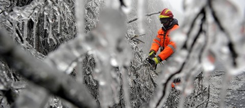 Zárva tart több oktatási intézmény a XII. kerületben