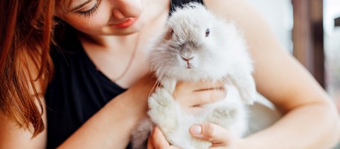 Élő nyulat ajándékoznátok húsvétra? Ezért ne tegyétek 