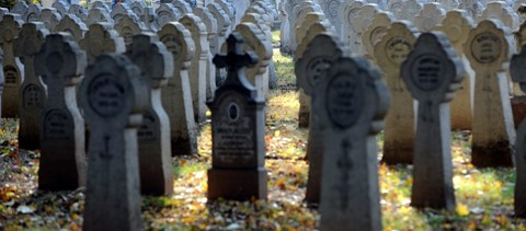 II. világháborús hősi halottak maradványaira bukkantak Apagyon