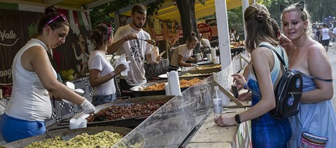 Így juss be ingyen a Sziget Fesztiválra! Videó