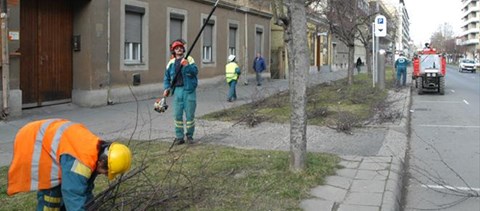 Egyetemi diplomával utcaseprőként dolgoznak