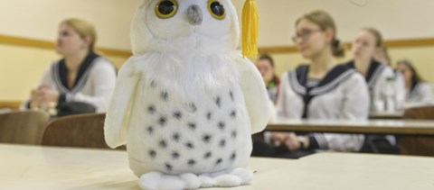 Mikor kezdődnek és meddig tartanak a középszintű szóbeli érettségik?