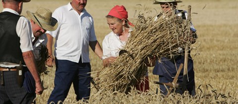 Minden ötödik felnőtt még az általános iskolát sem végezte el Szerbiában