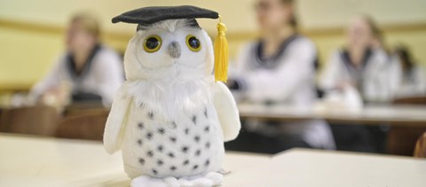 Középszintű biológiaérettségi: ezt a feladatsort kellett a diákoknak megoldaniuk