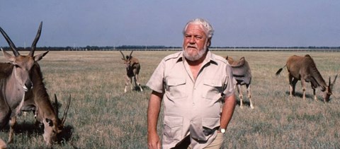 A lusta, alkoholista természetbúvár, akit nem érdekelt más csak az élővilág – 100 éves lett Gerald Durrell