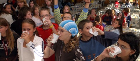 Idén is kapnak iskolatejet a székesfehérvári általános iskolások