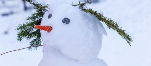 A havazás miatt sorra rendelnek el az iskolák rendkívüli tanítási szünetet