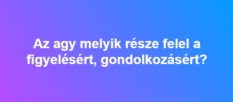 Az agy melyik része felel a figyelésért, gondolkozásért?