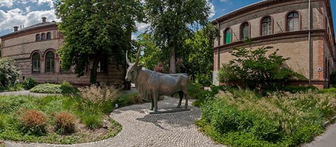 A világ legjobb kétszáz állatorvosi egyeteme közé került az Állatorvostudományi Egyetem