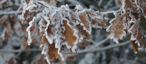 5+1 gondolat, ami a végzős diákok eszébe jut télen