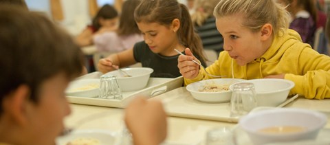 Génmódosított rizset adtak kínai diákoknak, kirúgták őket