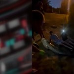 Kétméteres harcsaszörnyet fogott egy 10 és egy 12 éves fiú a nyári szünetben Zsurkon