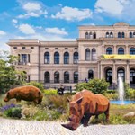 A nagy szökés – megléptek a futtatójukból a frankfurti állatkert orángutánjai