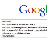 Ilyen képek terjednek a Facebookon: furcsa "Google-verseket" fabrikálnak