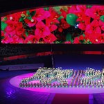 Lenyűgöző képek Kínából: látványos ünnepséggel kezdődött az Universiade