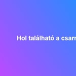 Hol található a csarnokvíz?