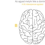 Félperces, zseniális teszt: melyik agyféltekéd a domináns?