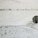 Rendkívüli tanítási szünetet rendeltek el keddre több településen