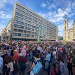 Ma délután újabb demonstráció lesz a státusztörvény ellen, tejszínhabbal készülnek a tüntetők