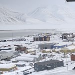 A mélybe ugrott, majd magára lőtt, mindezt a tudomány nevében: videó