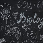 Milyen segédeszközt lehet használni biológiaérettségin?