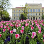 Középiskolásoknak indít alapozó képzéseket a szegedi egyetem