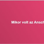 Mikor rögzítették Angliában az alkotmányos monarchia alapelveit?