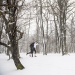 Ennél szebb fotókat úgysem találunk most a magyar egyetemekről