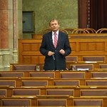 MSZP: a közoktatás is kicsúszott Hoffmann Rózsa kezéből