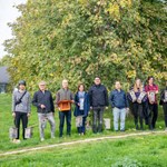 Hallgatók által készített madárodúkat helyeztek ki a Pécsi Egyetem parkjában