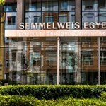 Felvételi 2024: ennyien szerezhetnek állami ösztöndíjas helyet a Semmelweis Egyetemen