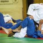 Jön a nemzeti judo az iskolákba