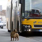 Erre figyeljetek a szeptemberi bérlet megvásárlásakor: több mint egy hónapig érvényes